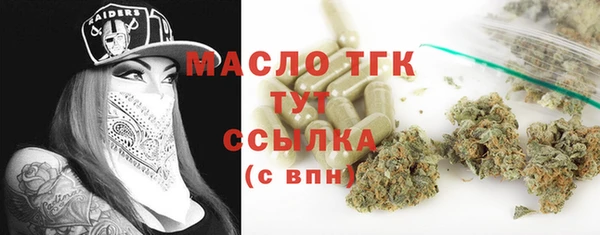 сатива Болотное