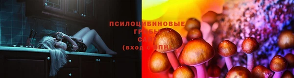 молекула духа Ростов