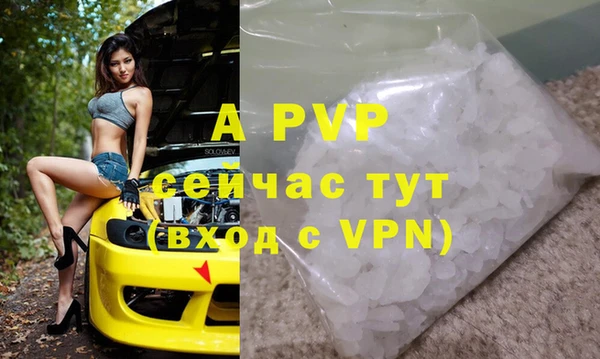 молекула духа Ростов