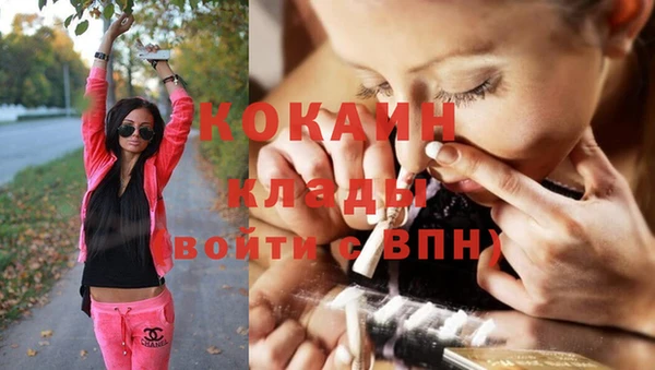 молекула духа Ростов