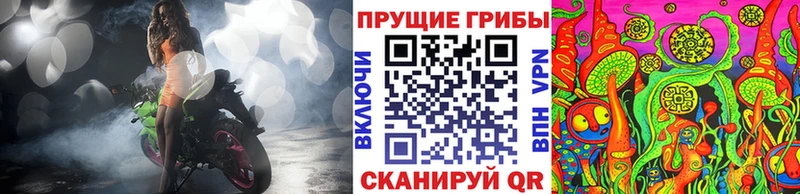Галлюциногенные грибы Psilocybine cubensis  цены   Лесозаводск 