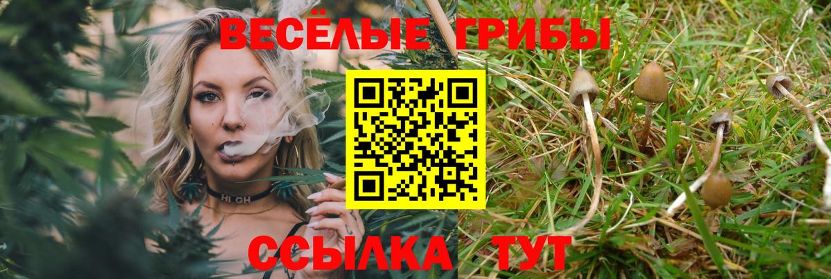 Лесозаводск  наркошоп  Вход с VPN  Псилоцибиновые грибы ЛСД 